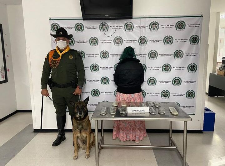 La policía Nacional incauto 3.000 gramos de marihuana en el aeropuerto Alfonso Bonilla Aragón.